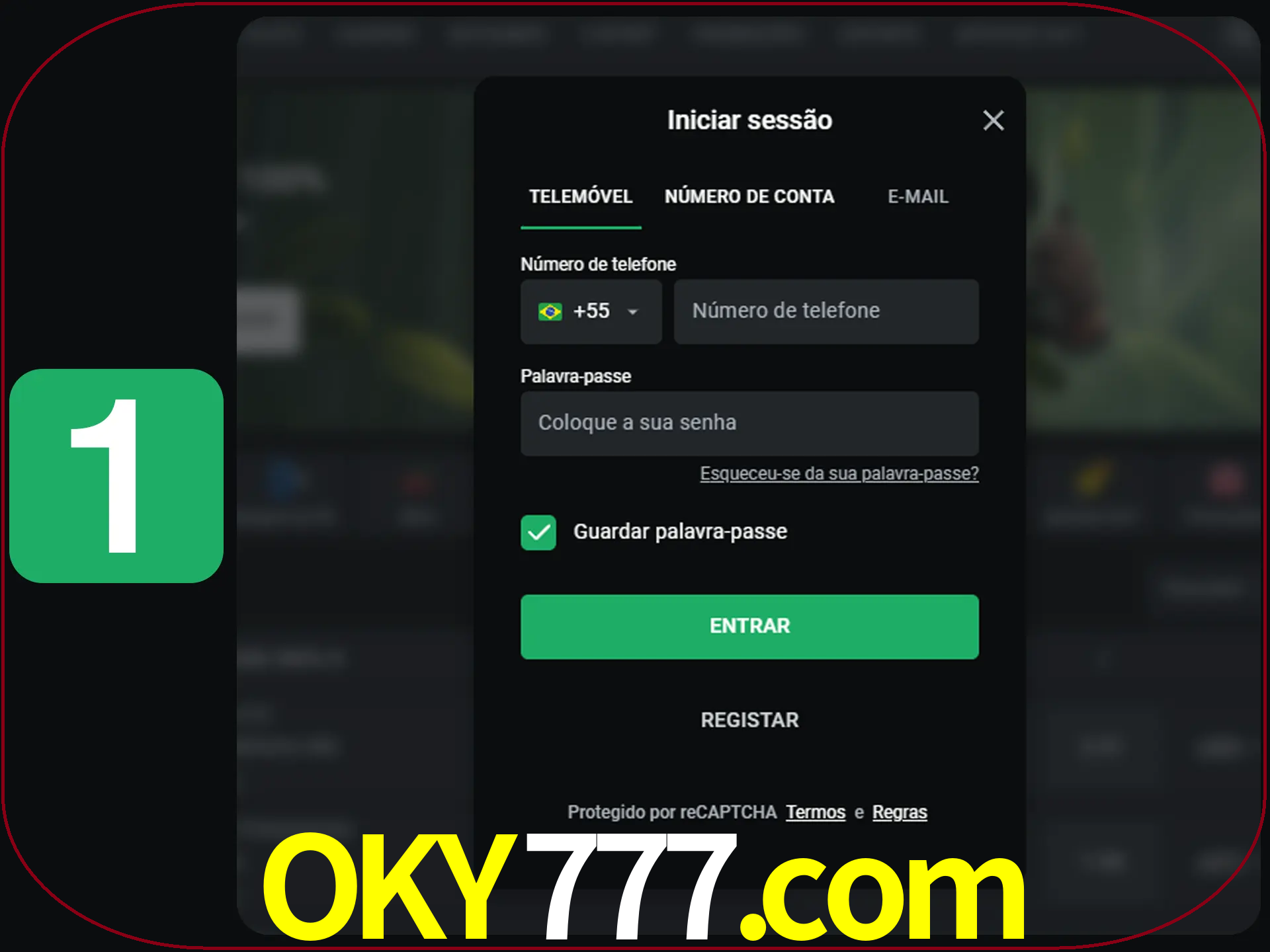 Clique no botão Entrar.